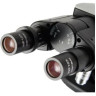 Микроскоп LEVENHUK 450B бинокулярный 84462