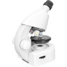 Микроскоп LEVENHUK DISCOVERY MICRO POLAR с книгой 77952