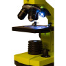 Микроскоп LEVENHUK Rainbow 2L PLUS, лайм 69044
